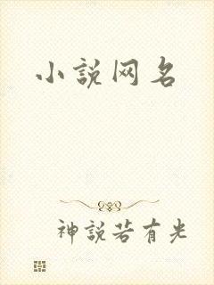 小说网名