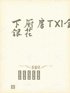 下厨房TXl金银花