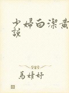 少妇白洁黄色小说