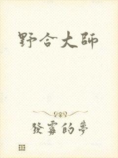 野合大师封面