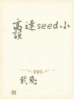 高达seed小说封面