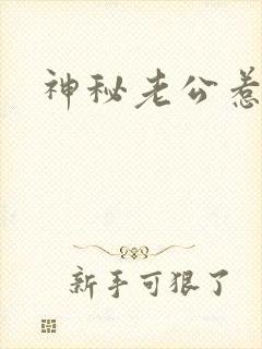 神秘老公惹不起封面