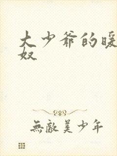 大少爷的暖床小奴