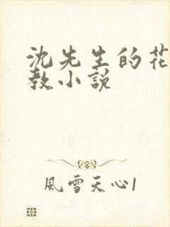 沈先生的花式管教小说