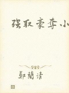 强取豪夺小说封面