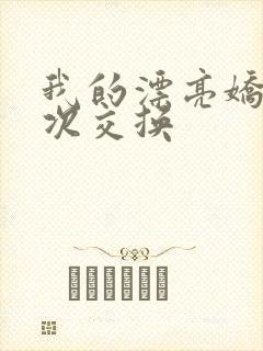 我的漂亮娇妻初次交换
