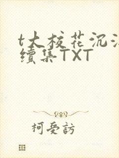 t大校花沉浮录续集TXT
