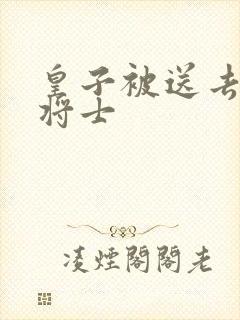 皇子被送去犒劳将士