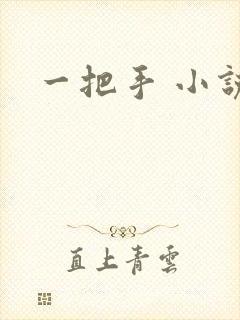一把手 小说