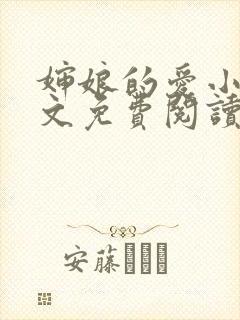 婶娘的爱小说全文免费阅读
