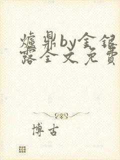 炉鼎by金银花露全文免费阅读笔趣阁封面