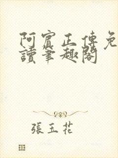 阿宾正传免费阅读笔趣阁