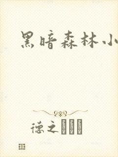黑暗森林小说