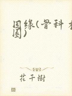 因缘(骨科 校园)