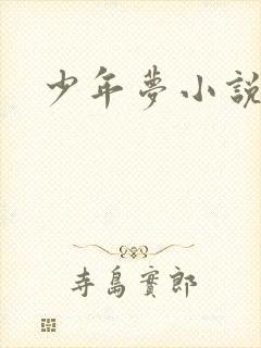 少年梦小说
