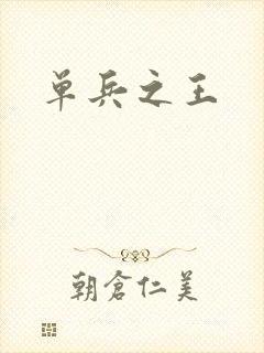 单兵之王封面
