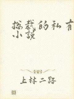 总裁的私有宝贝小说