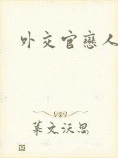 外交官恋人小说封面