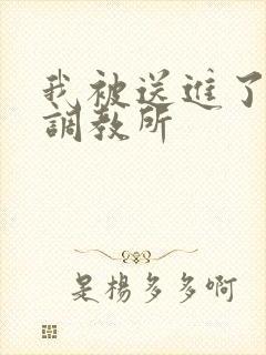 我被送进了私奴调教所