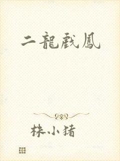 二龙戏凤封面