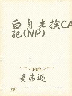 白月光挨CAO记(NP)