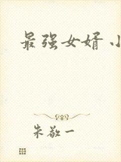最强女婿 小说
