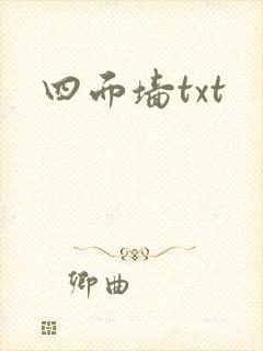 四面墙txt