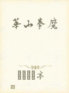华山拳魔封面