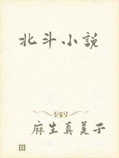 北斗小说