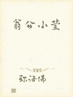 翁公小莹
