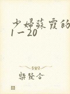 少妇苏霞的沉沦1一20