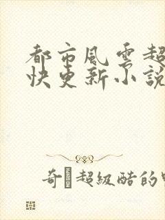 都市风云超前超快更新小说