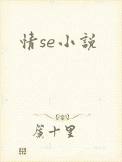 情se小说