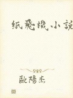 纸飞机小说