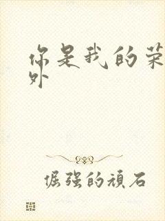 你是我的荣耀番外