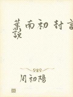 叶南初 封言小说