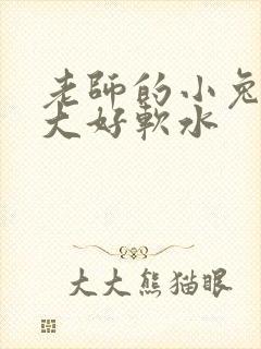 老师的小兔子好大好软水