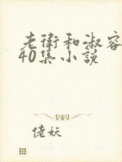 老卫和淑容1-40集小说