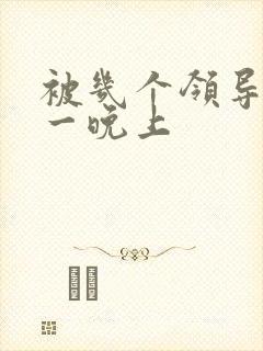 被几个领导玩弄一晚上