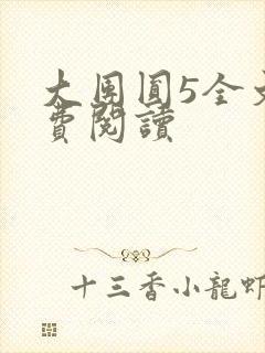 大团圆5全文免费阅读