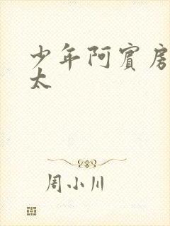 少年阿宾房东太太