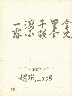 一泻千里金银花露小说全文免费阅读