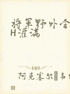 将军野外含公主H灌满