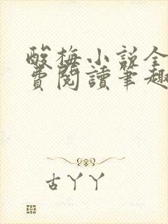 酸梅小说全文免费阅读笔趣阁封面