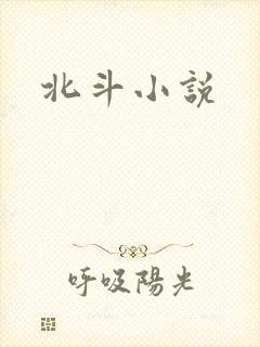 北斗小说
