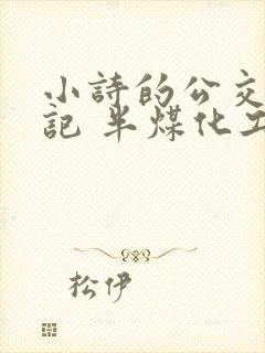 小诗的公交车日记 半煤化工