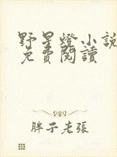 野星灯小说全文免费阅读封面