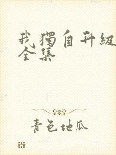 我独自升级漫画全集封面