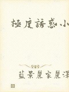 极度诱惑小说封面