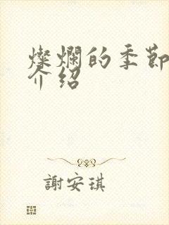 灿烂的季节剧情介绍